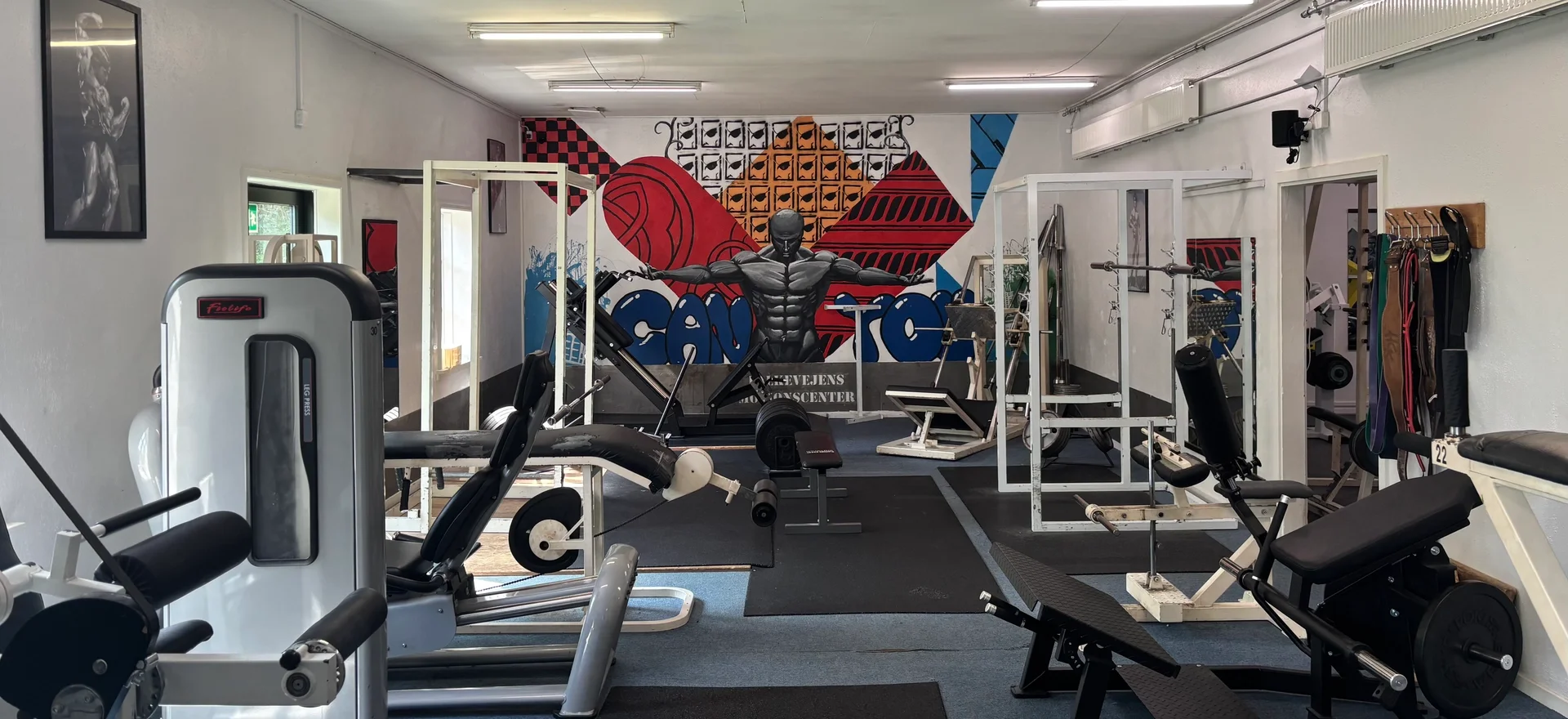 Træningssession i Viborg Fitness Gym